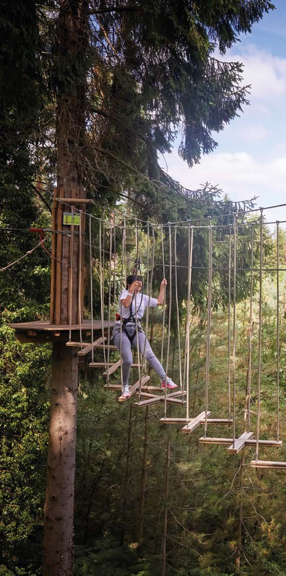 Milton Keynes lifestyle photograph of a treetop adventure course close to Eastbrook Village's 160-acre country park